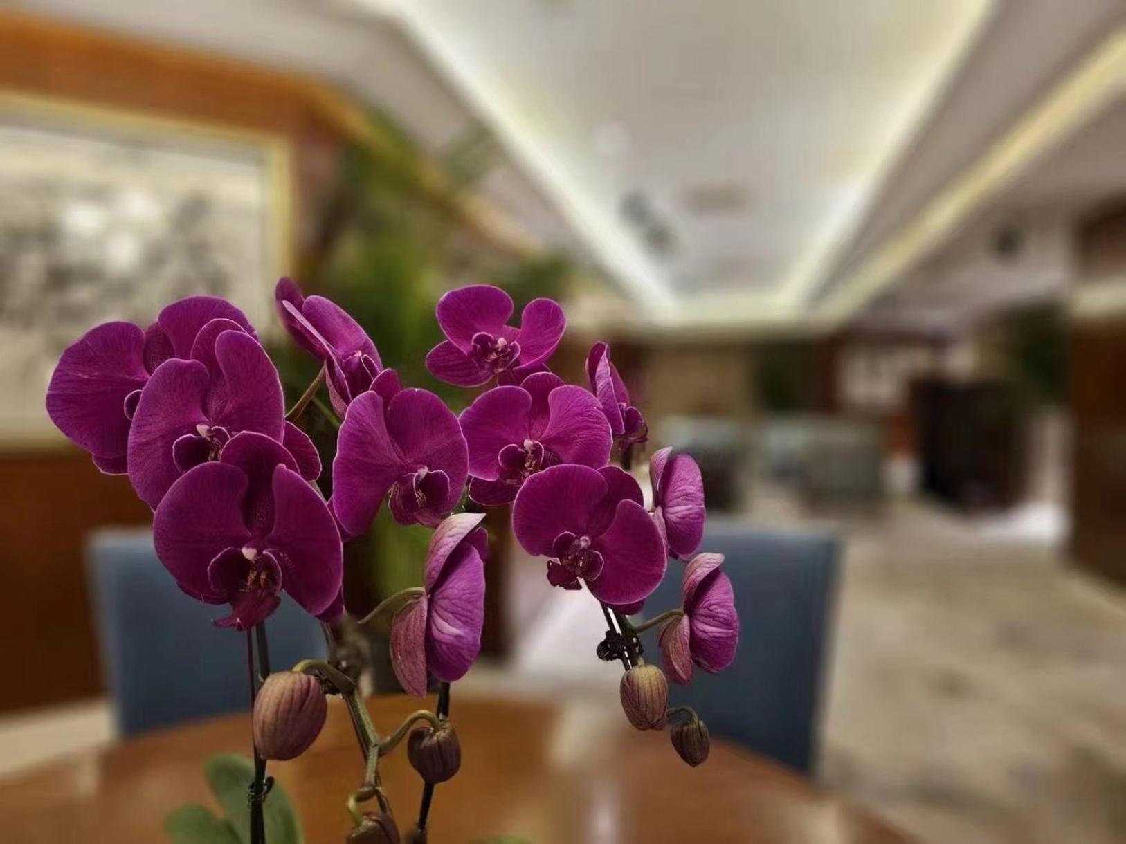 Khách sạn Regent